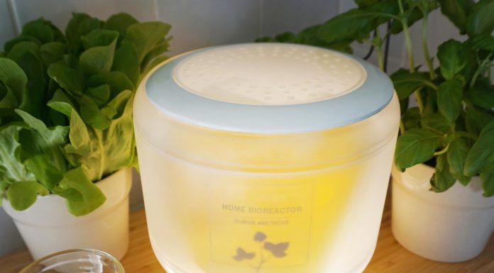 A l’avenir, cultiverons-nous des fruits dans des bioreacteurs domestiques?