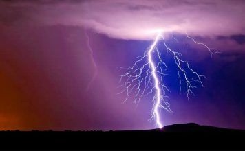 Biais du cygne noir : les evenements rares ne se produisent pas tous les jours