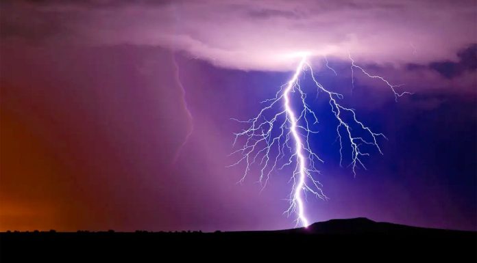 Biais du cygne noir : les evenements rares ne se produisent pas tous les jours