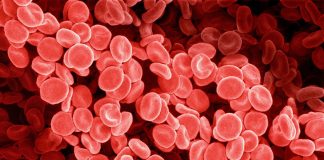 Des scientifiques effectuent les premieres transfusions de sang cultive en laboratoire