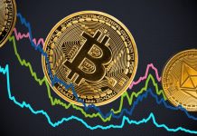 La surprenante maturite de la foule des crypto-raves