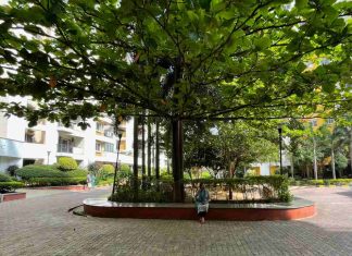 Le probleme avec trop de logique