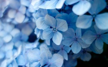 Les avantages d’etre un retardataire