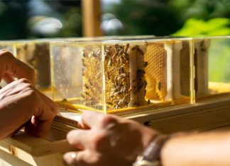 Neuf inventions captivantes devoilees au CES de cette annee