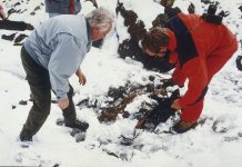 Reecriture de l’histoire d’Otzi, l’homme des glaces assassine