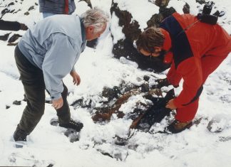 Reecriture de l’histoire d’Otzi, l’homme des glaces assassine