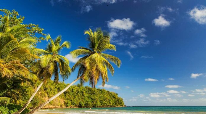 Soleil, sable et mer : 3 meilleures escapades sur les iles des Caraibes